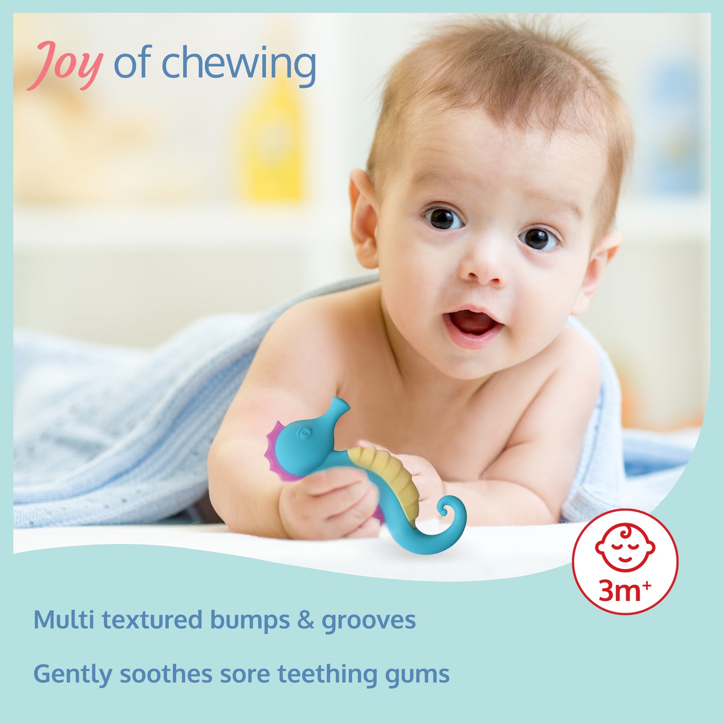 Sea Horse Baby Teether Multicolor