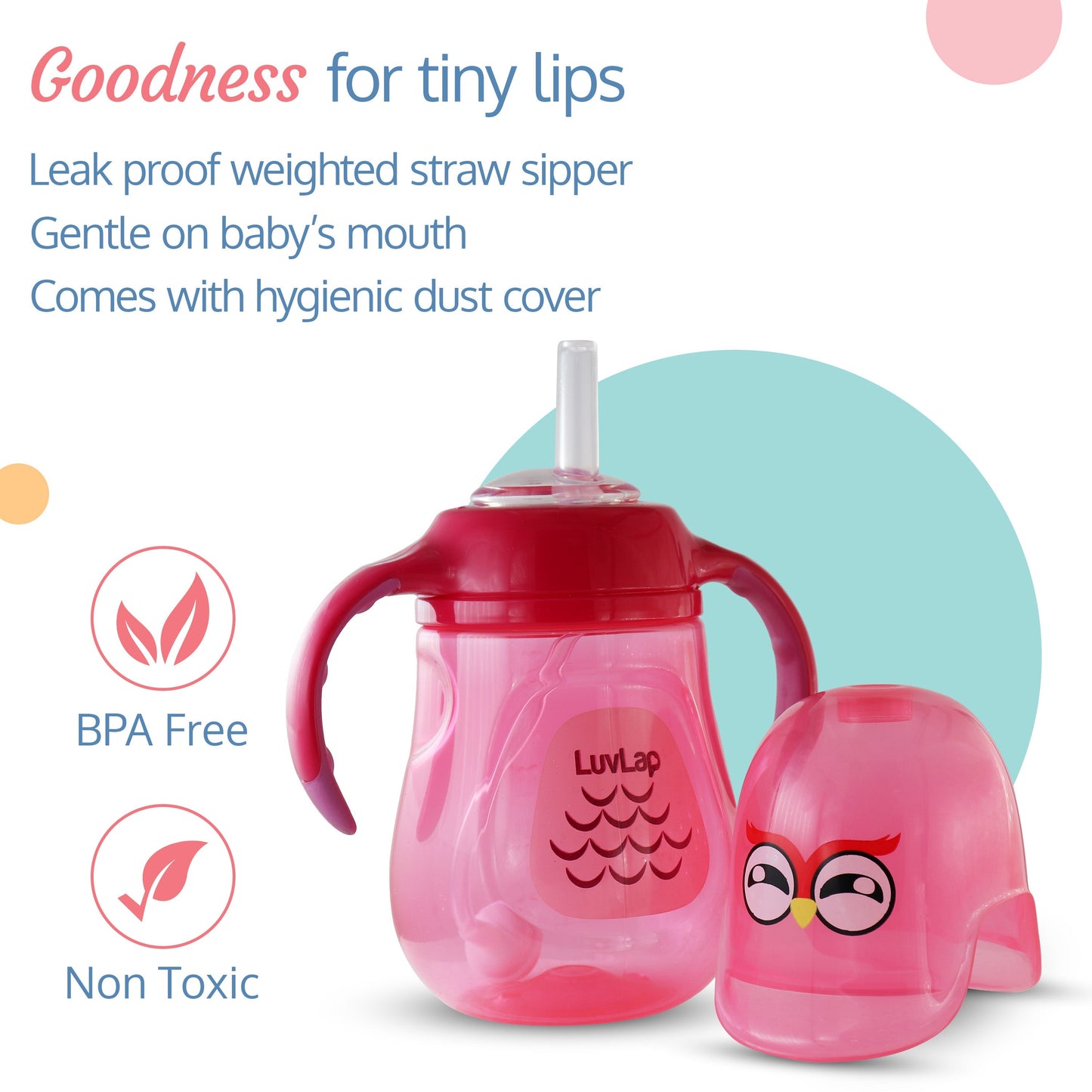 Wise Owl Straw Sipper, 280Ml