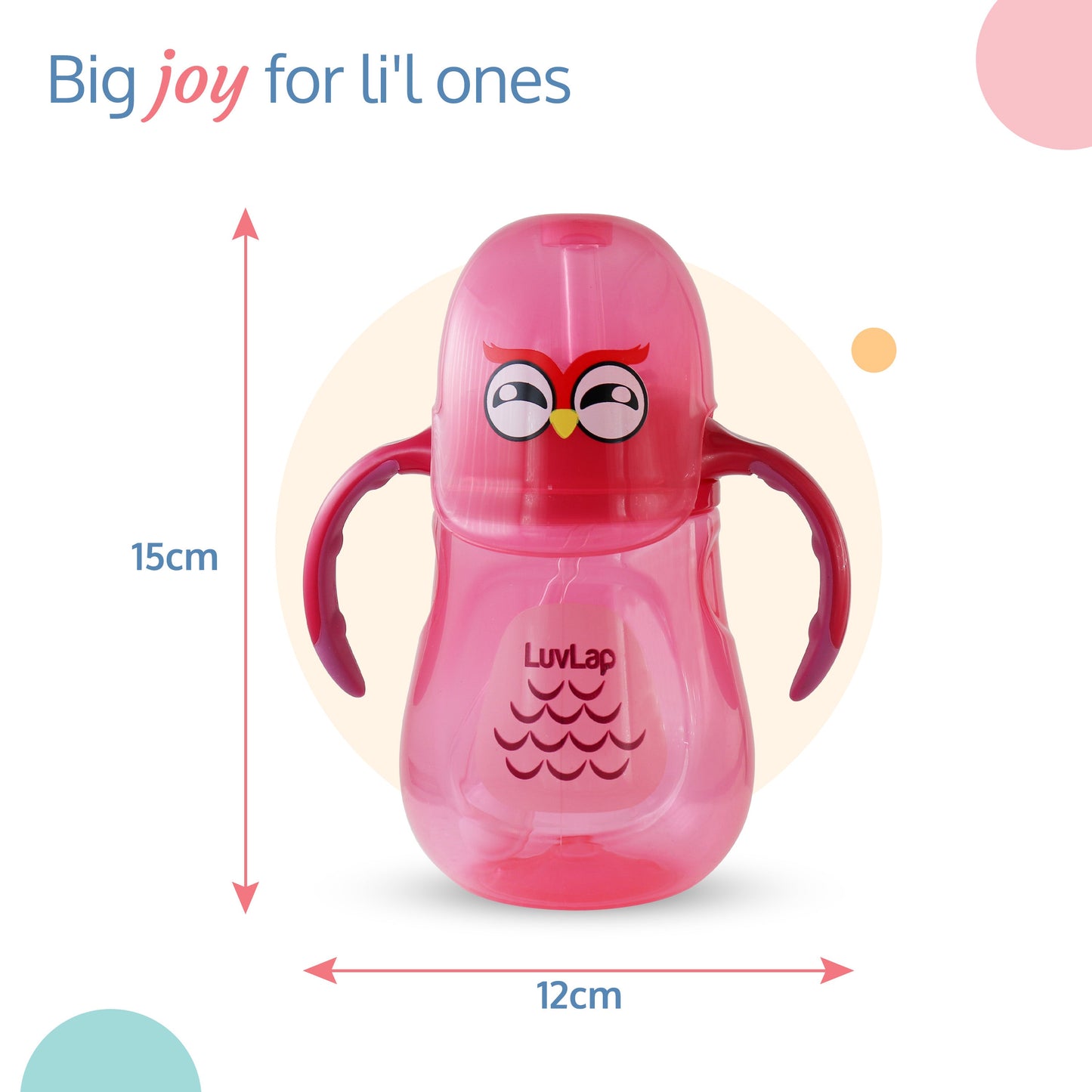 Wise Owl Straw Sipper, 280Ml