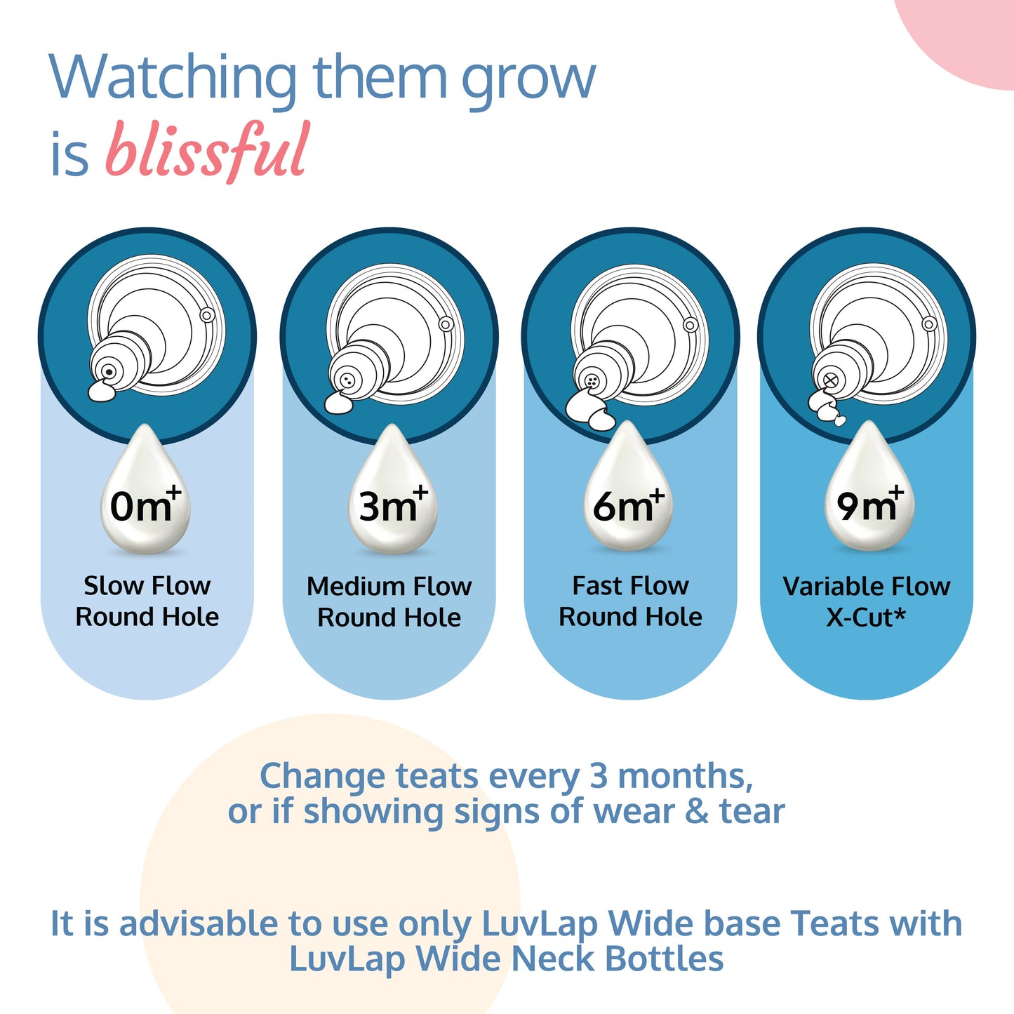 Natura Flo Wide Neck Glass Feeding Bottle, Pack of 2, 150ml