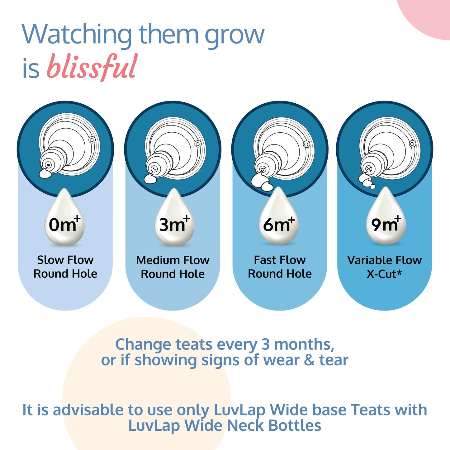 Natura Flo Wide Neck Glass Feeding Bottle, 250Ml