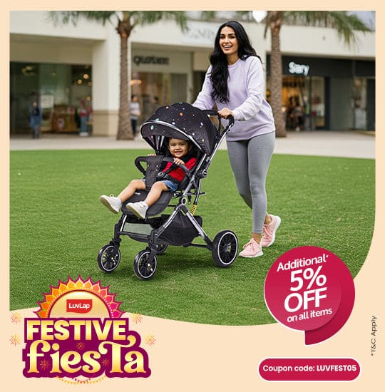 Making the Decision: Which Stroller is Right for You?