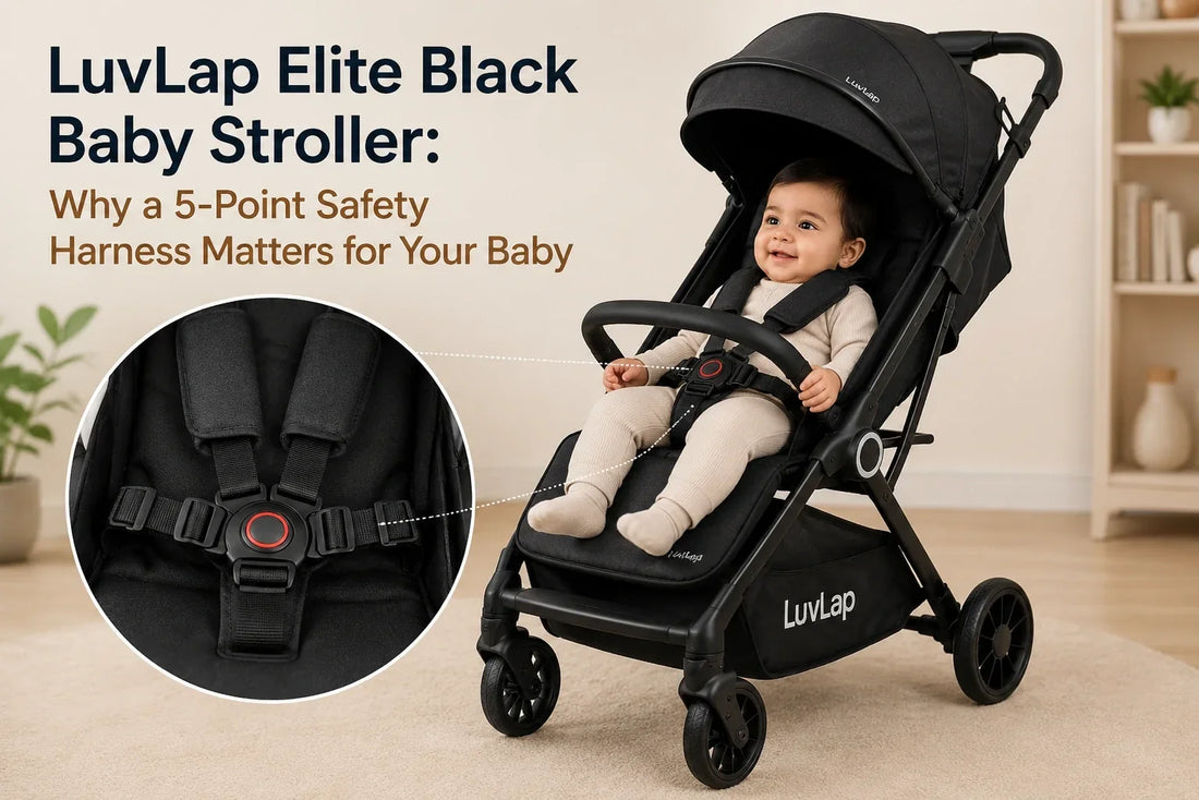 LuvLap Elite Black Baby Stroller: Why a 5-Point Safety Harness Matters for Your Baby