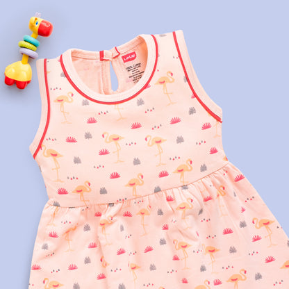 Baby Girl 100% Cotton Sleeveless Girls Frock Pack Of 3